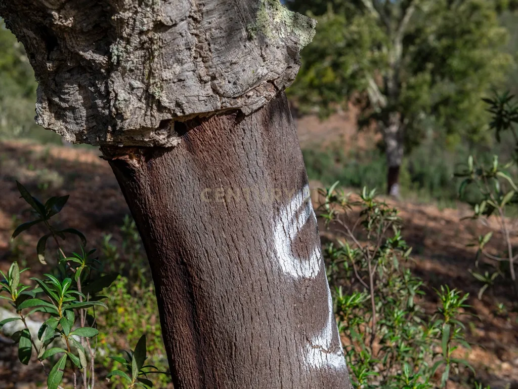 Terreno sito em S. Marcos da Serra, junto à IC1 e à A2 Lisboa/Algarve - Image 19