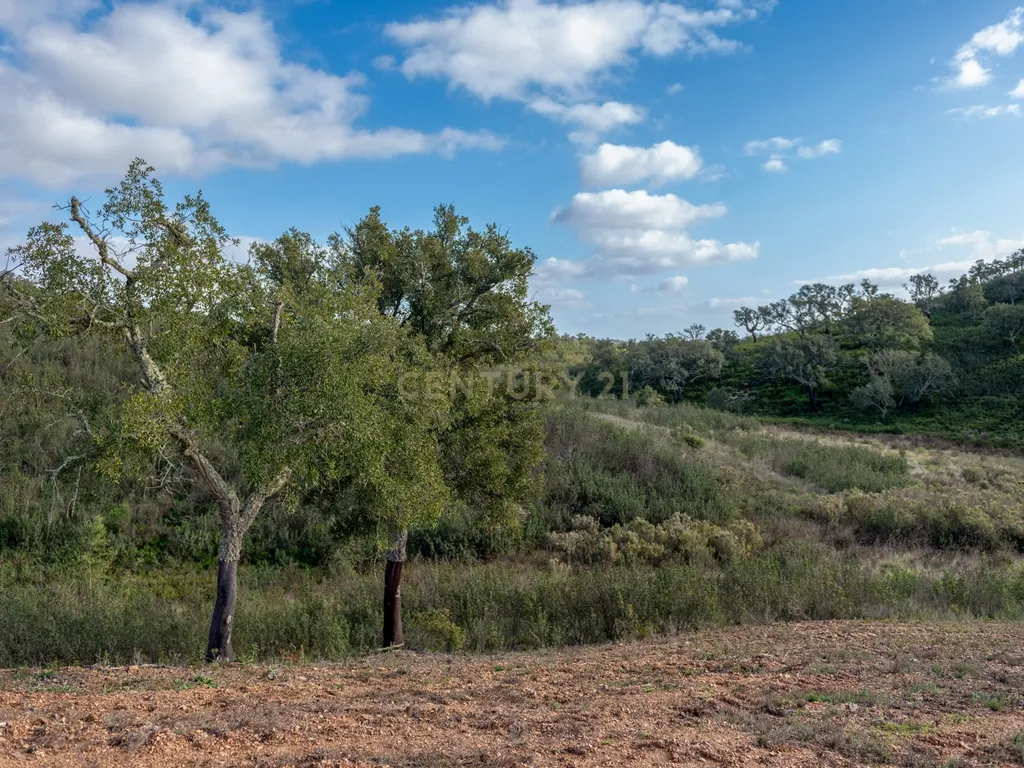 Terreno sito em S. Marcos da Serra, junto à IC1 e à A2 Lisboa/Algarve - Image 6