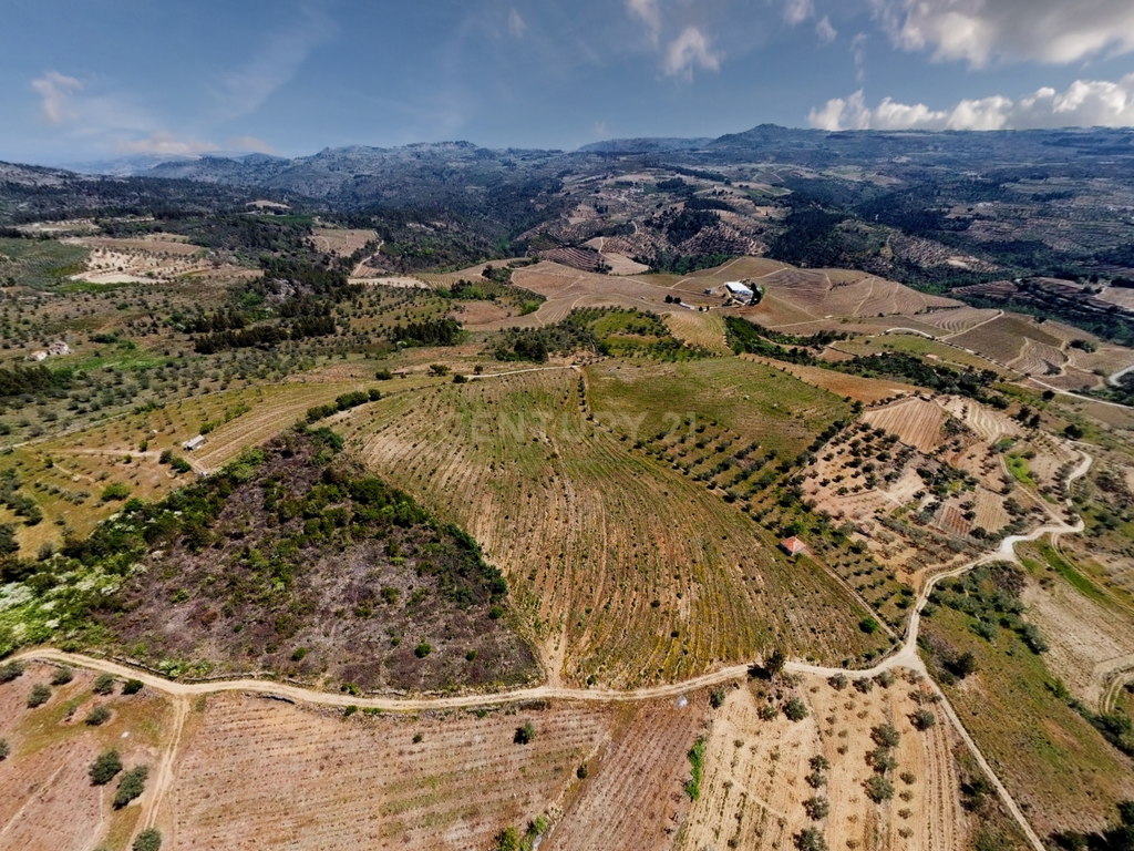 Terreno com 75230 m2 em Sendim - Tabuaço | Viseu - Image 16