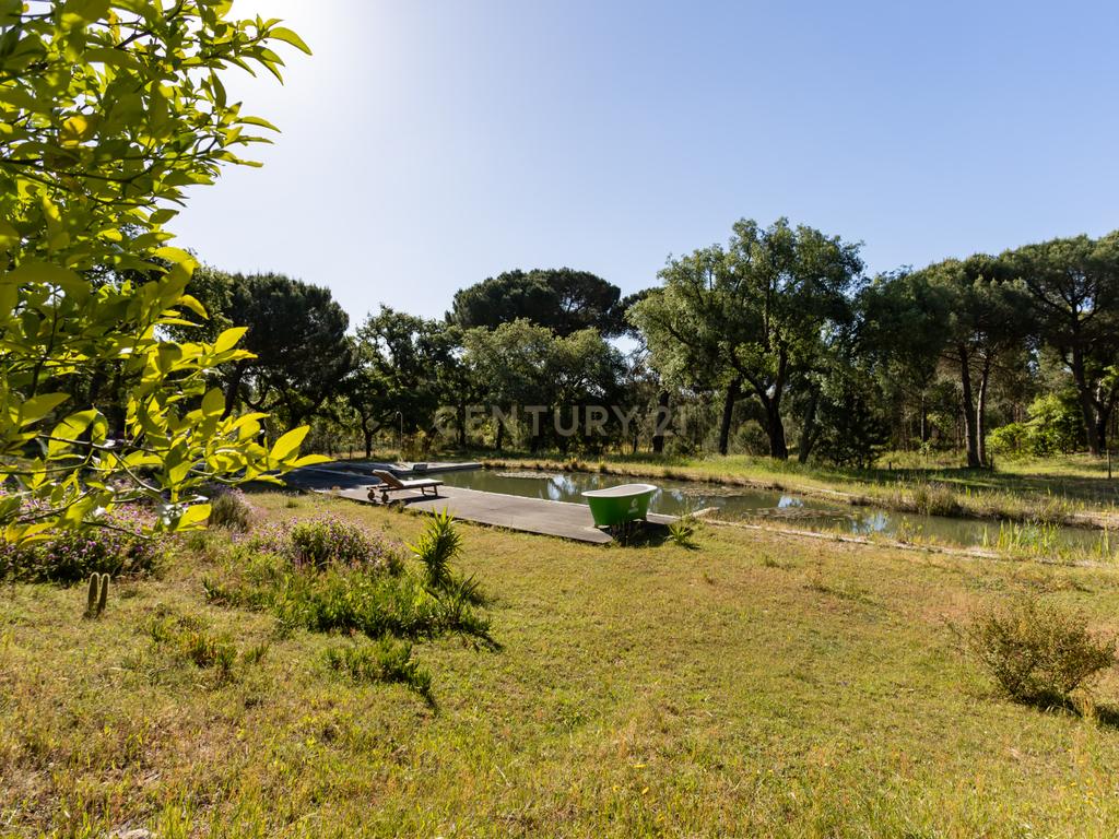 Quinta a 1 hora de Lisboa - Cortiçadas de Lavre - Próximo novo Aeroporto!!! - Image 33
