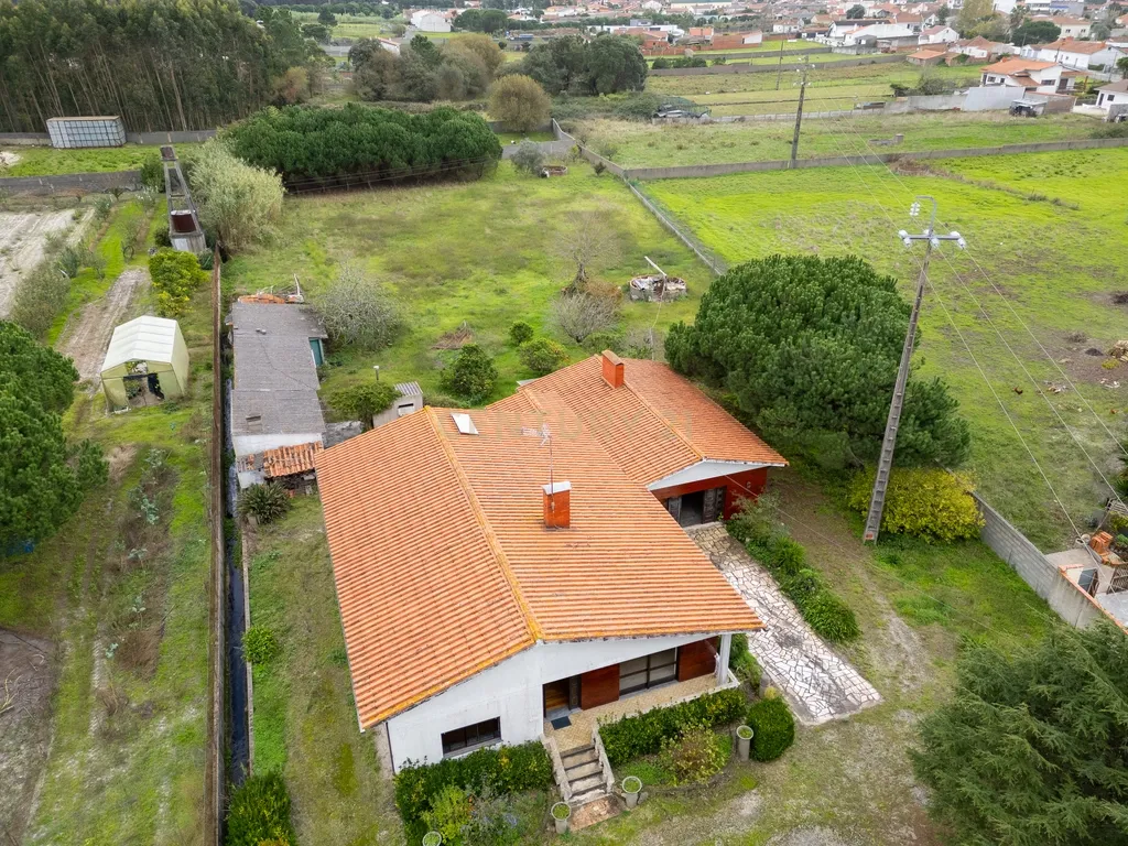 Moradia individual T3 Inserida em 5000 metros de terreno na Moita Marinha Grande - Image 1