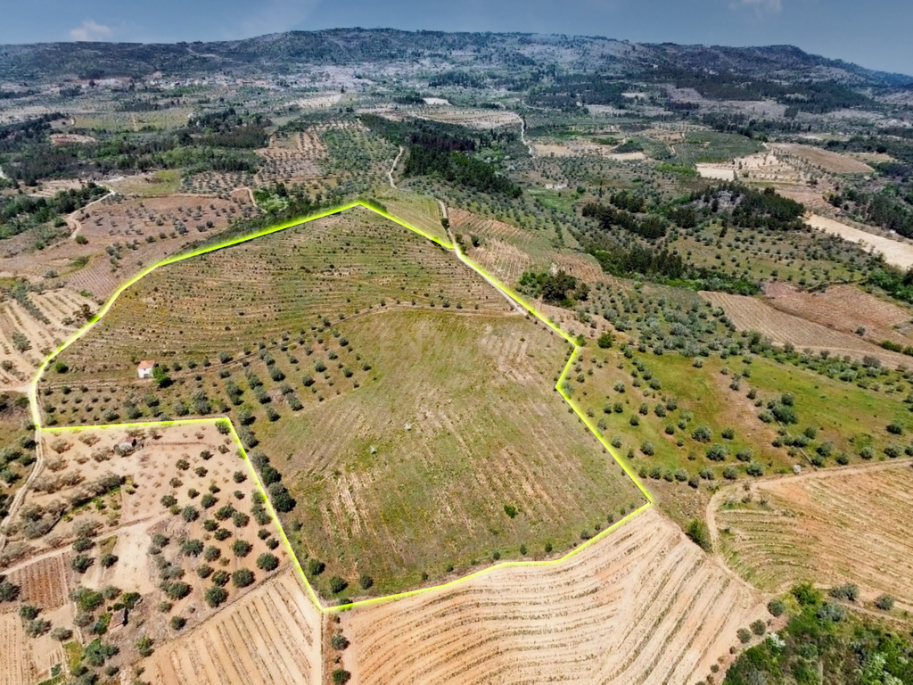 Terreno com 75230 m2 em Sendim - Tabuaço | Viseu - Image 2