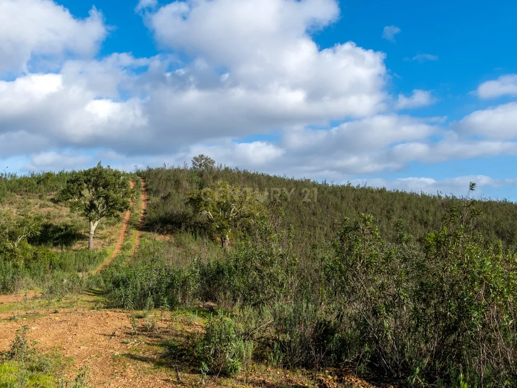 Terreno sito em S. Marcos da Serra, junto à IC1 e à A2 Lisboa/Algarve - Image 18