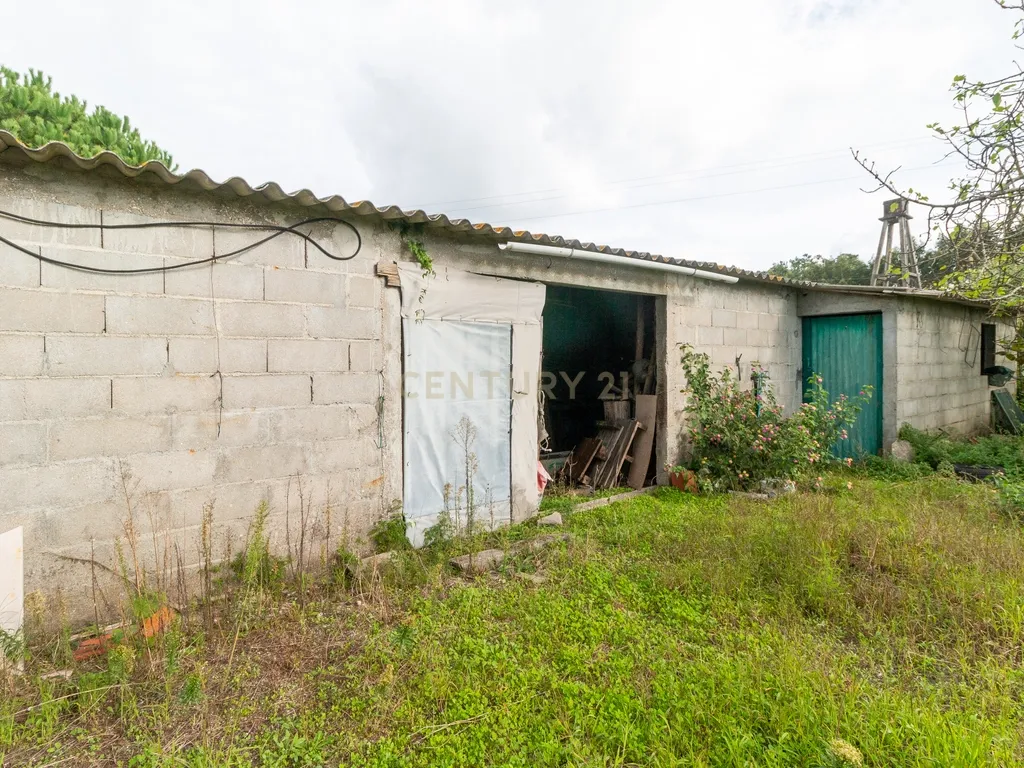 Moradia individual T3 Inserida em 5000 metros de terreno na Moita Marinha Grande - Image 24
