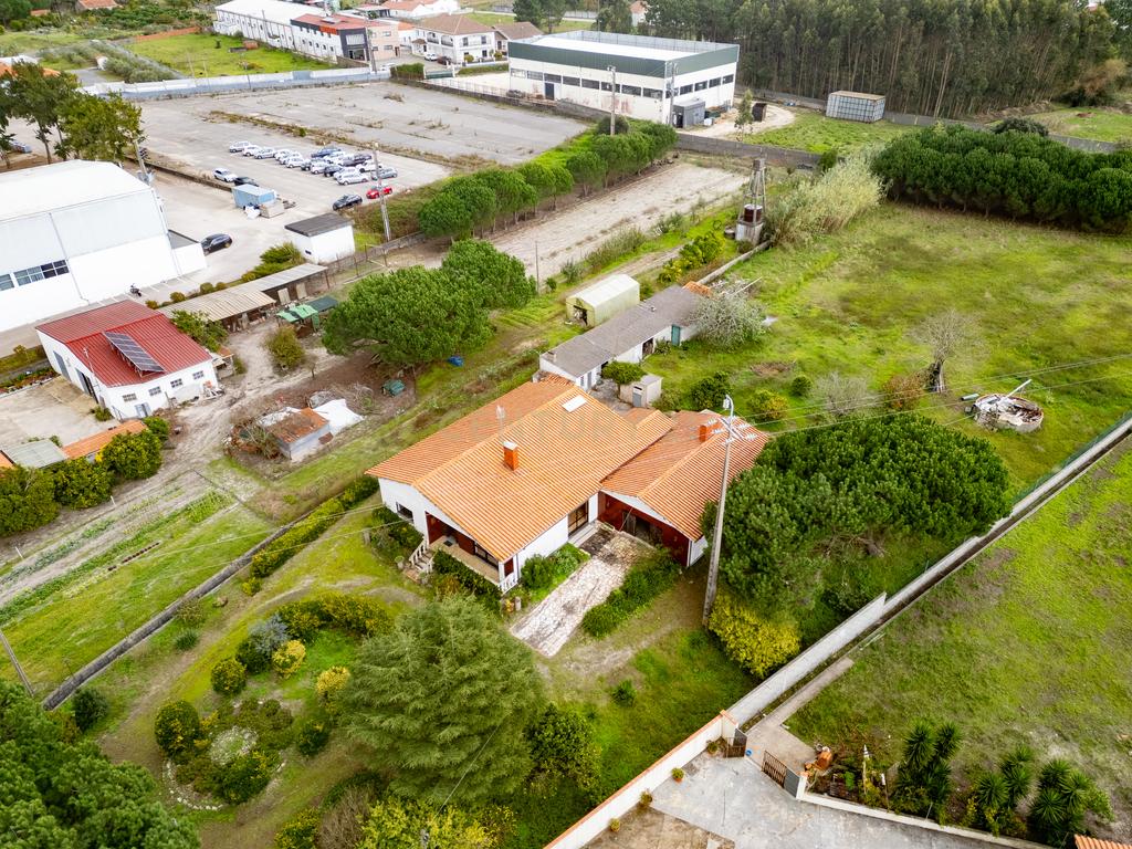 Moradia individual T3 Inserida em 5000 metros de terreno na Moita Marinha Grande - Image 26