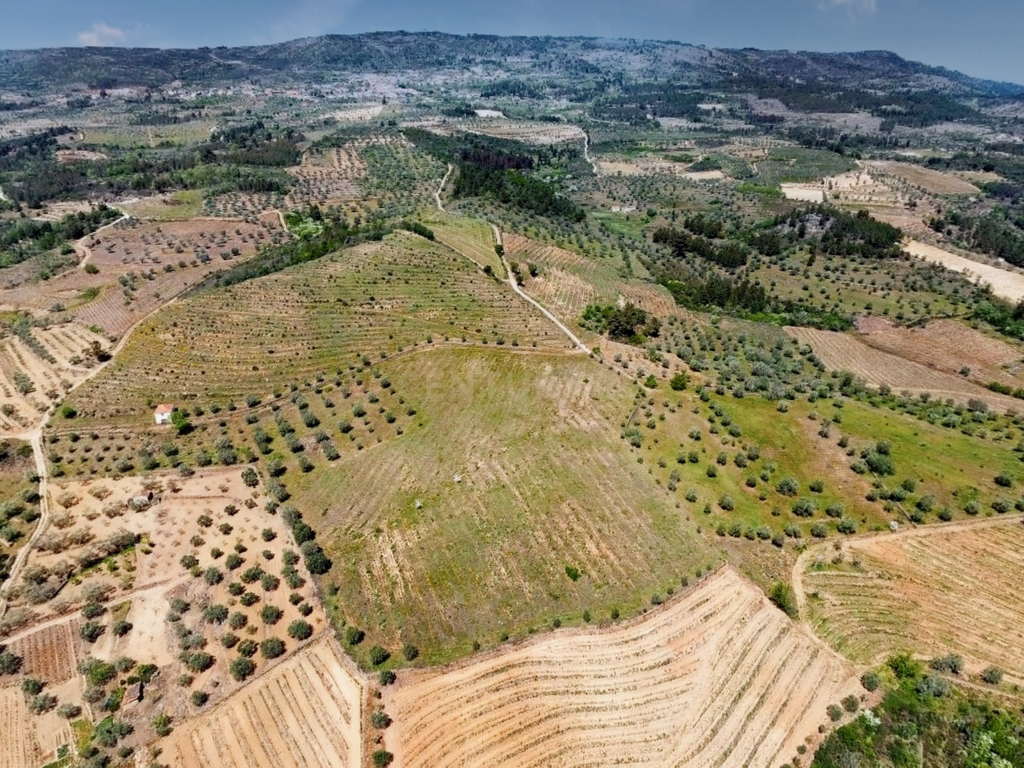 Terreno com 75230 m2 em Sendim - Tabuaço | Viseu - Image 17