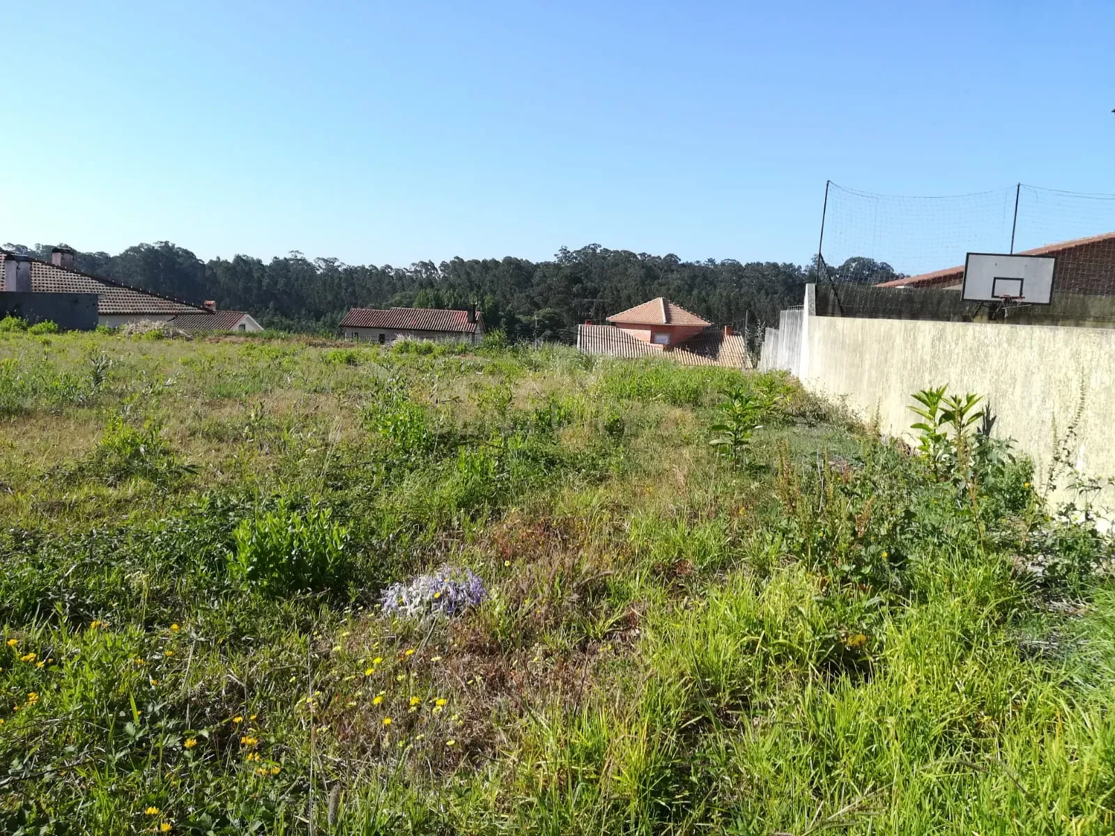 Lote para venda em Oliveirinha - Image 3
