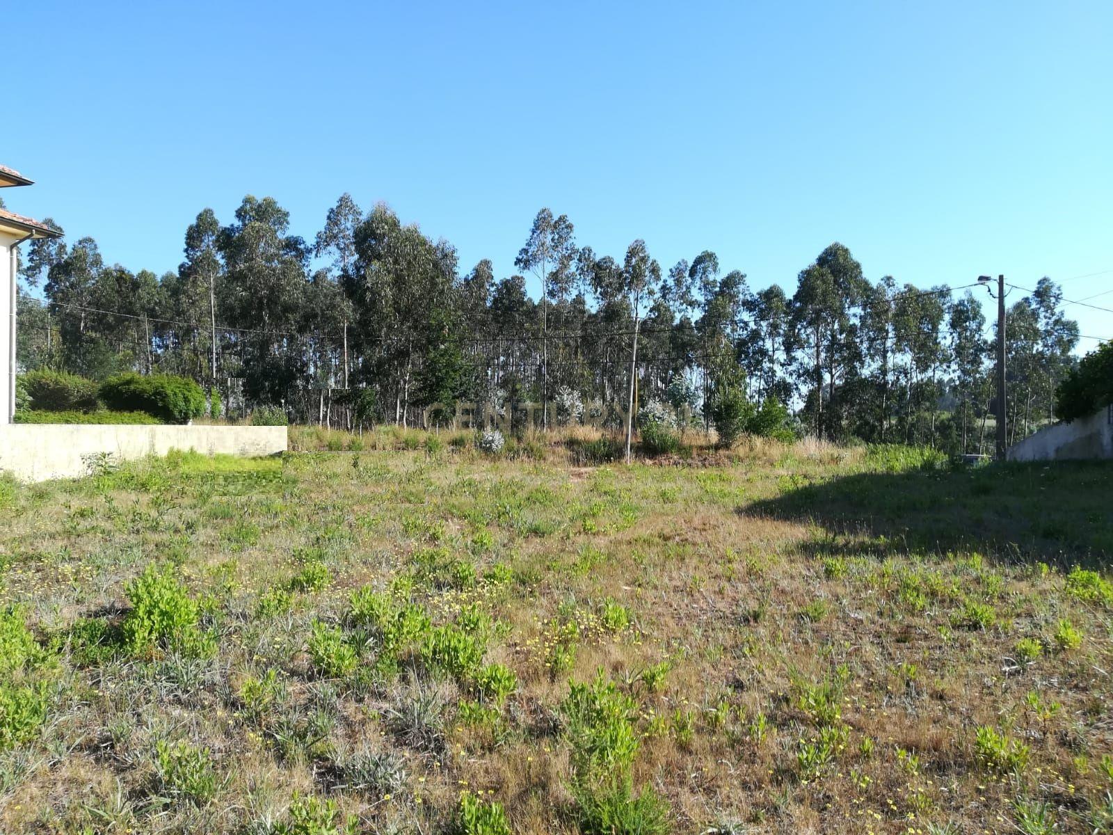 Lote para venda em Oliveirinha - Image 2