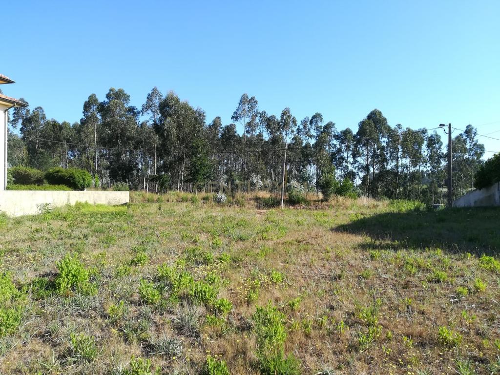 Lote para venda em Oliveirinha - Image 2