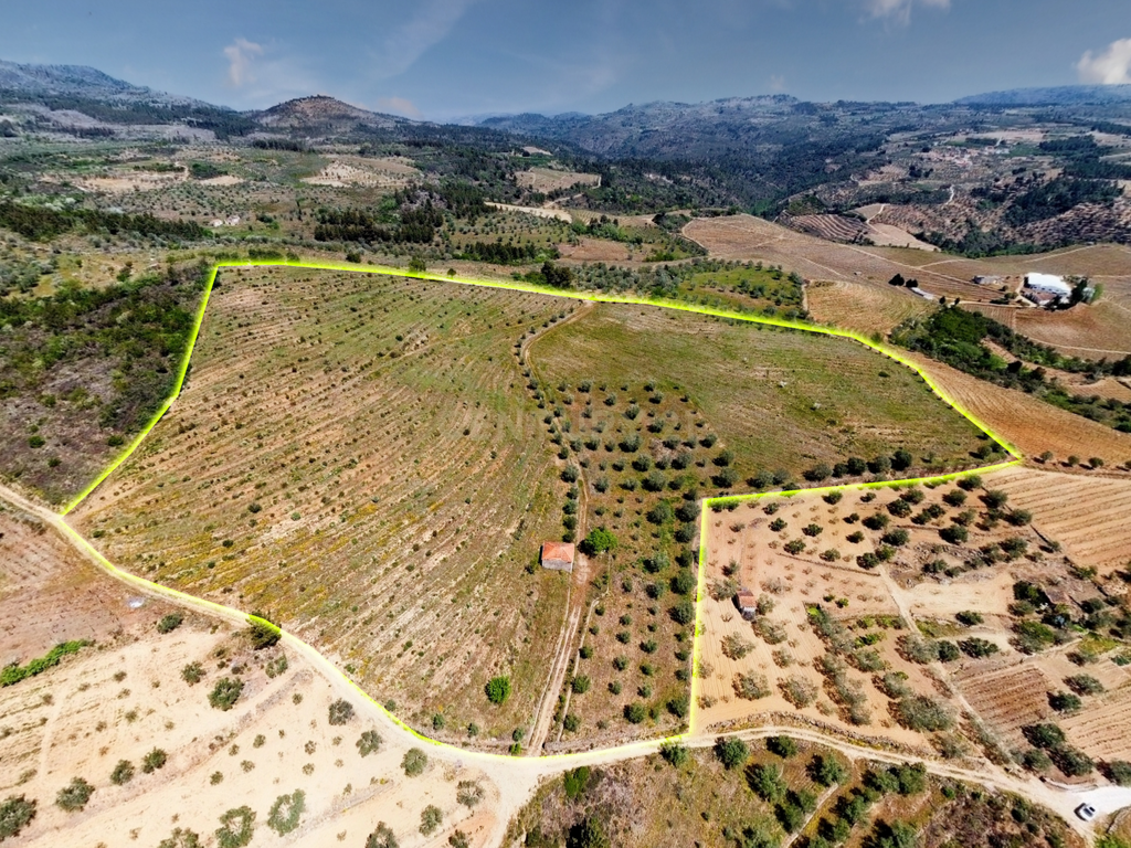 Terreno com 75230 m2 em Sendim - Tabuaço | Viseu - Image 1
