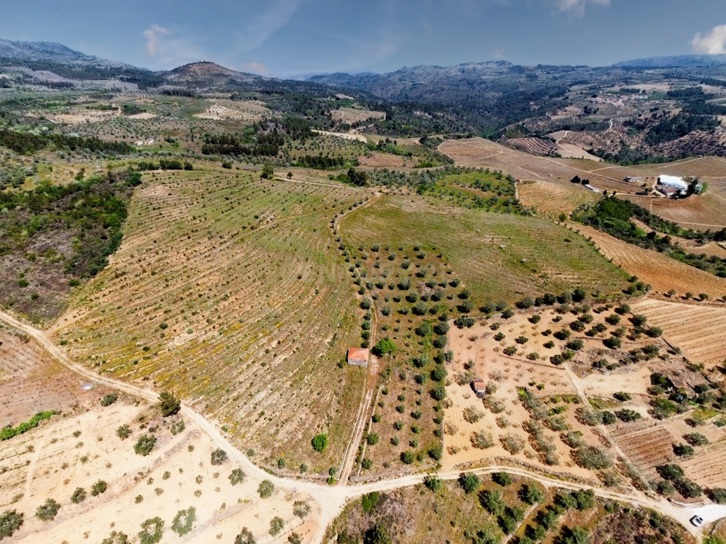 Terreno com 75230 m2 em Sendim - Tabuaço | Viseu - Image 7