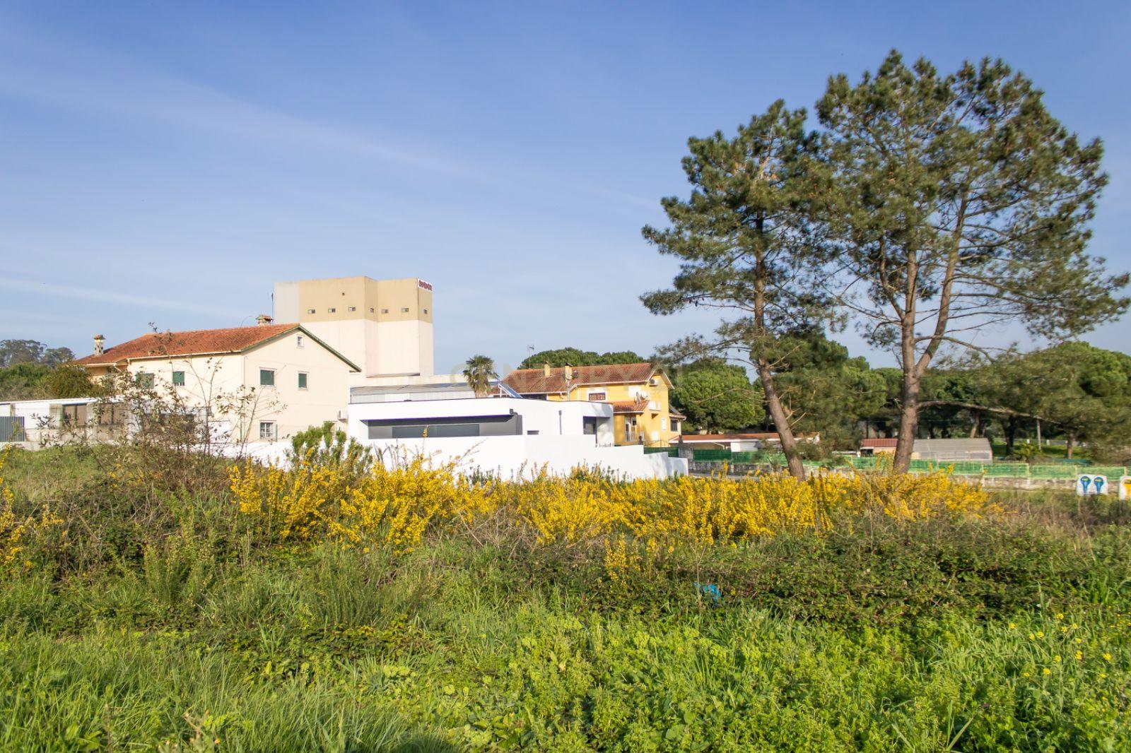 Lote de Terreno Urbano em Alcaidaria - Milagres || Leiria - Image 9