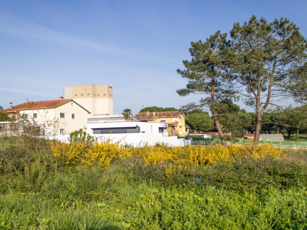 Lote de Terreno Urbano em Alcaidaria - Milagres || Leiria - Image 9