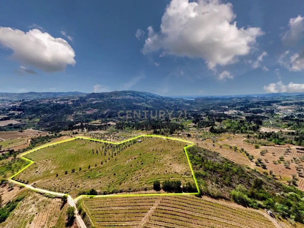 Terreno com 75230 m2 em Sendim - Tabuaço | Viseu - Image 3