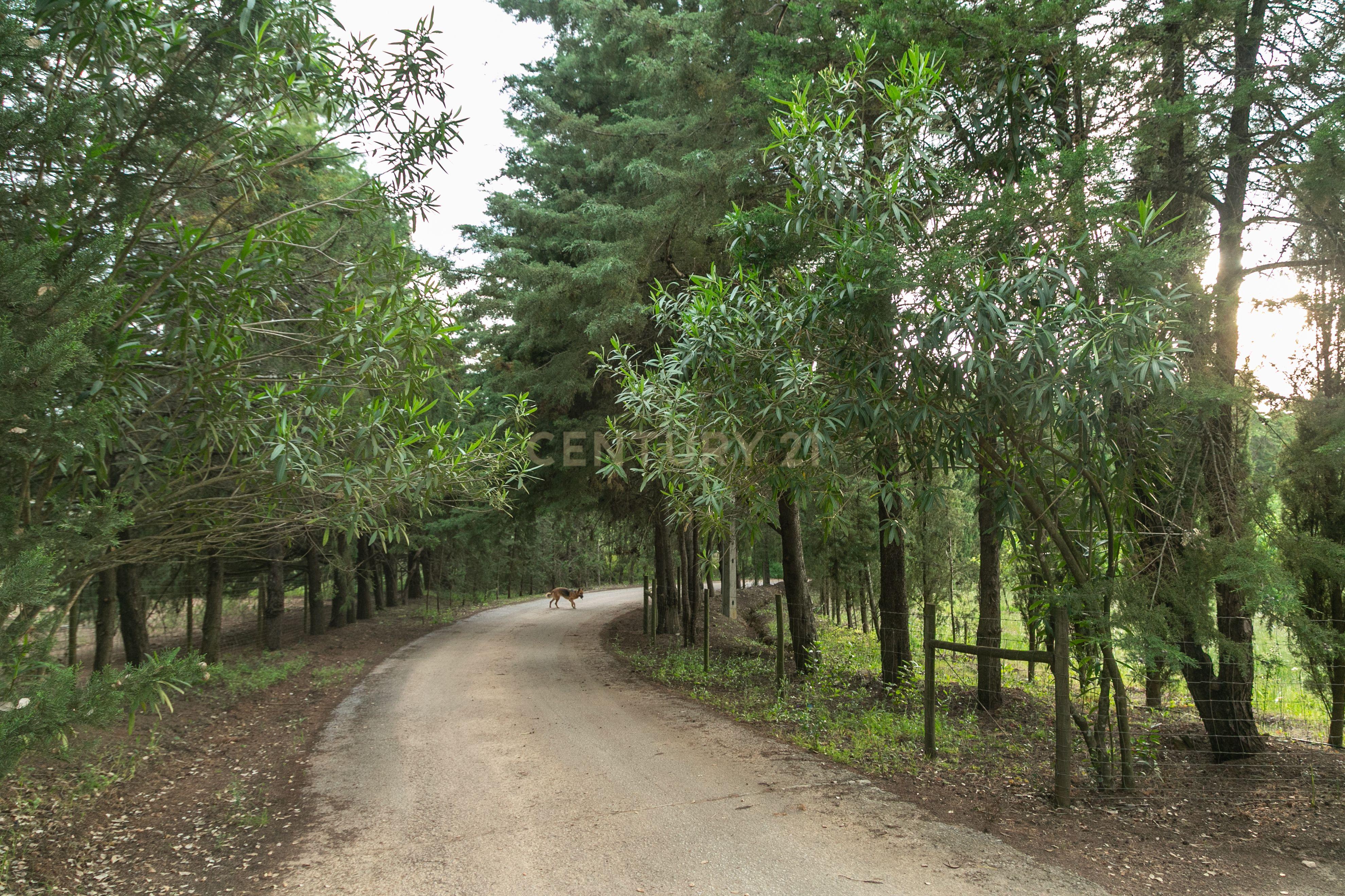 Fotografia 7 de Monte Novo da Marinela – Exclusividade e Tranquilidade no Coração do Alentejo