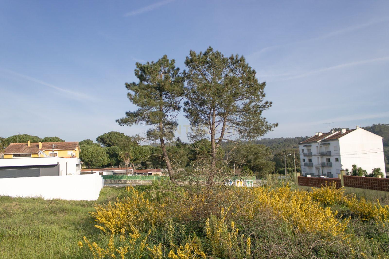 Lote de Terreno Urbano em Alcaidaria - Milagres || Leiria - Image 8