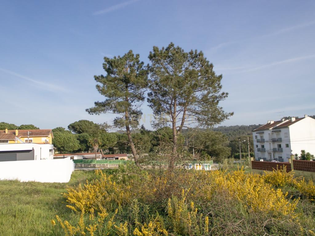 Lote de Terreno Urbano em Alcaidaria - Milagres || Leiria - Image 8