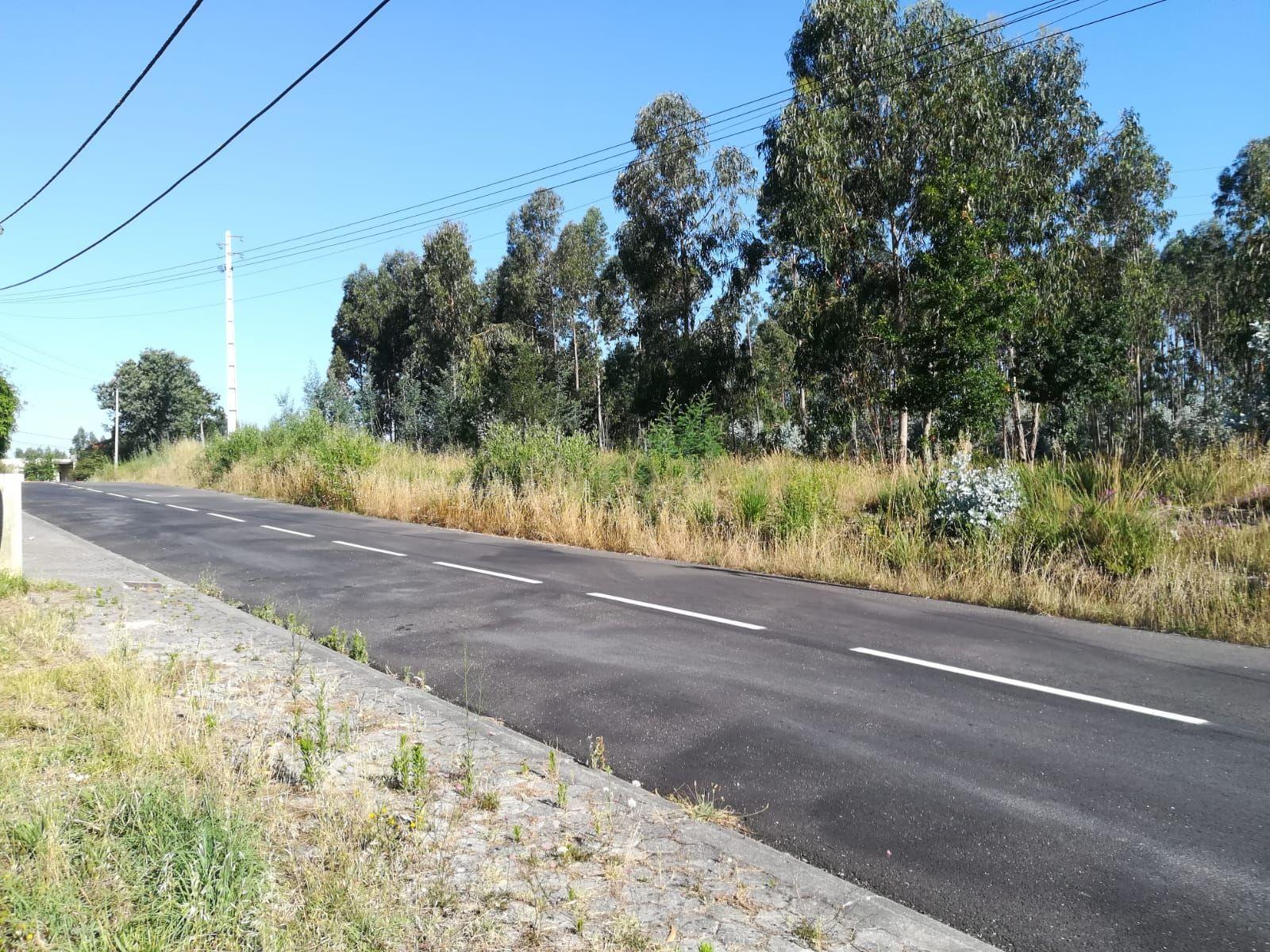 Lote para venda em Oliveirinha - Image 6