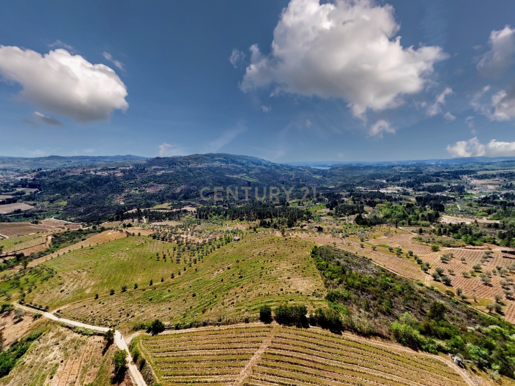 Terreno com 75230 m2 em Sendim - Tabuaço | Viseu - Image 15
