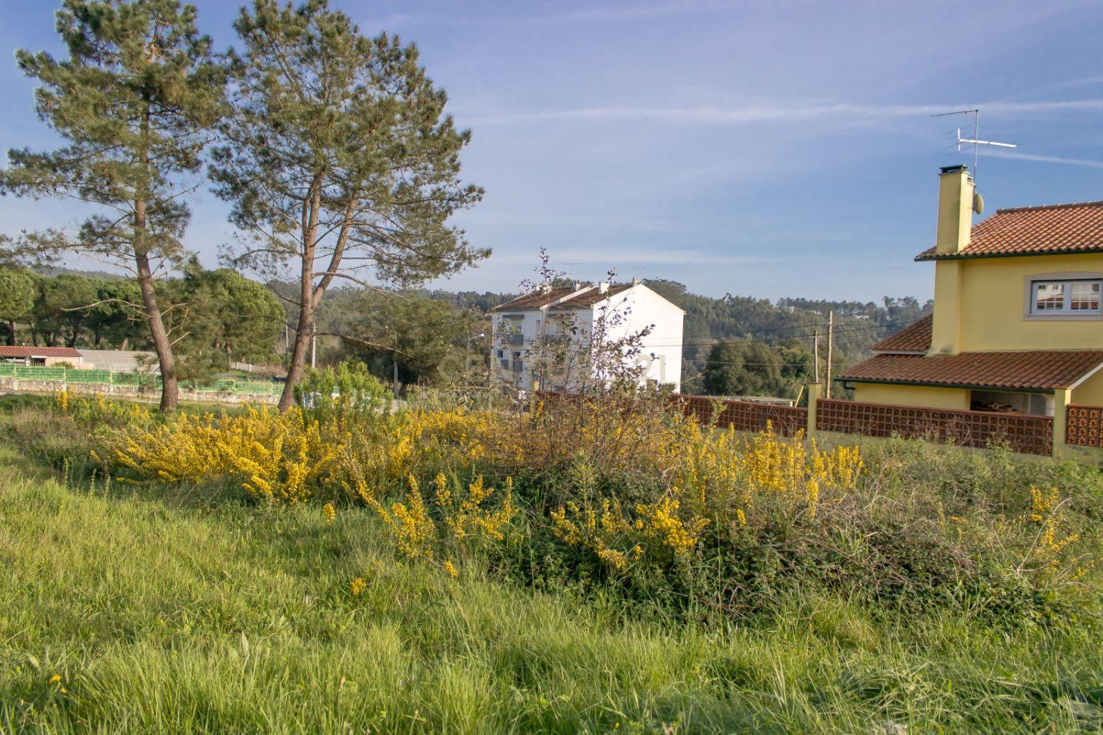 Lote de Terreno Urbano em Alcaidaria - Milagres || Leiria - Image 11