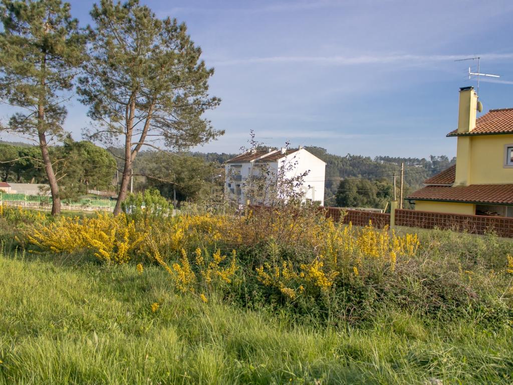 Lote de Terreno Urbano em Alcaidaria - Milagres || Leiria - Image 11