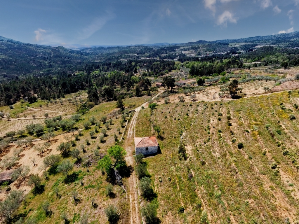 Terreno com 75230 m2 em Sendim - Tabuaço | Viseu - Image 5