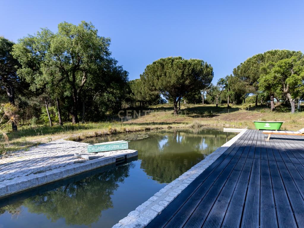 Quinta a 1 hora de Lisboa - Cortiçadas de Lavre - Próximo novo Aeroporto!!! - Image 11