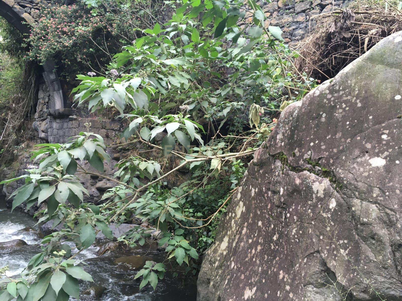 Fotografia 6 de 🌿 Moinho de Água Histórico junto à Ribeira | Mãe d’Água – Ribeira Grande