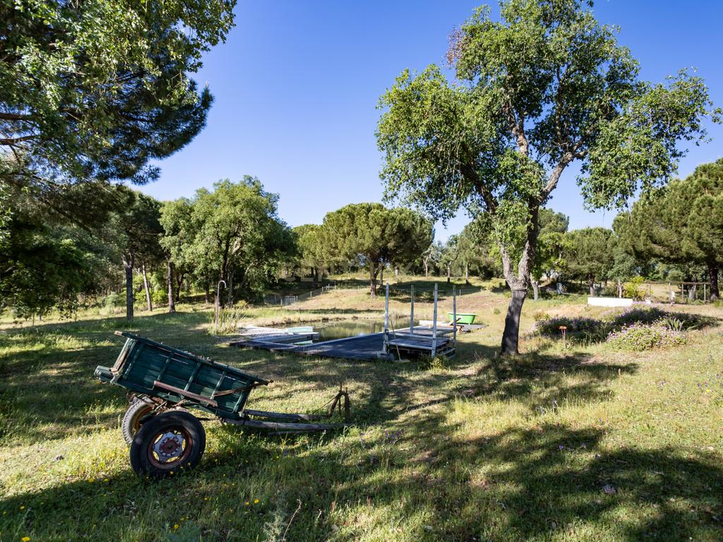 Quinta a 1 hora de Lisboa - Cortiçadas de Lavre - Próximo novo Aeroporto!!! - Image 32
