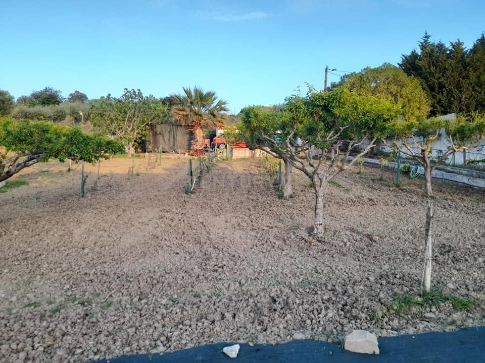 Moradia T4 em Quinta de 1950 com piscina e terra fértil - Image 16