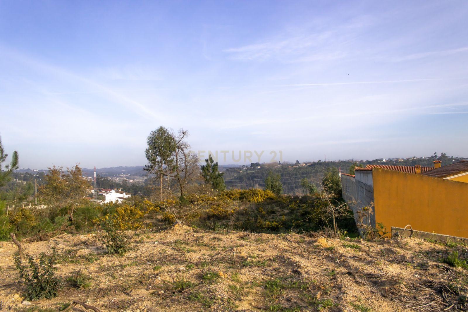Terreno em Mata dos Milagres || Leiria - Image 5