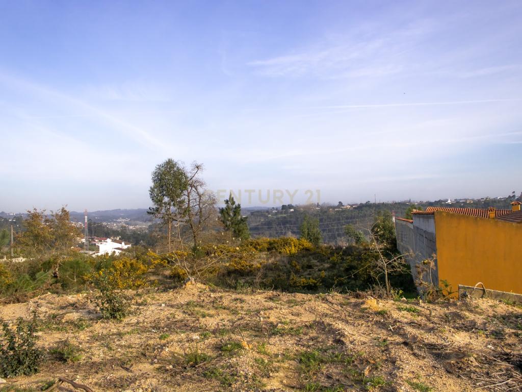 Terreno em Mata dos Milagres || Leiria - Image 5
