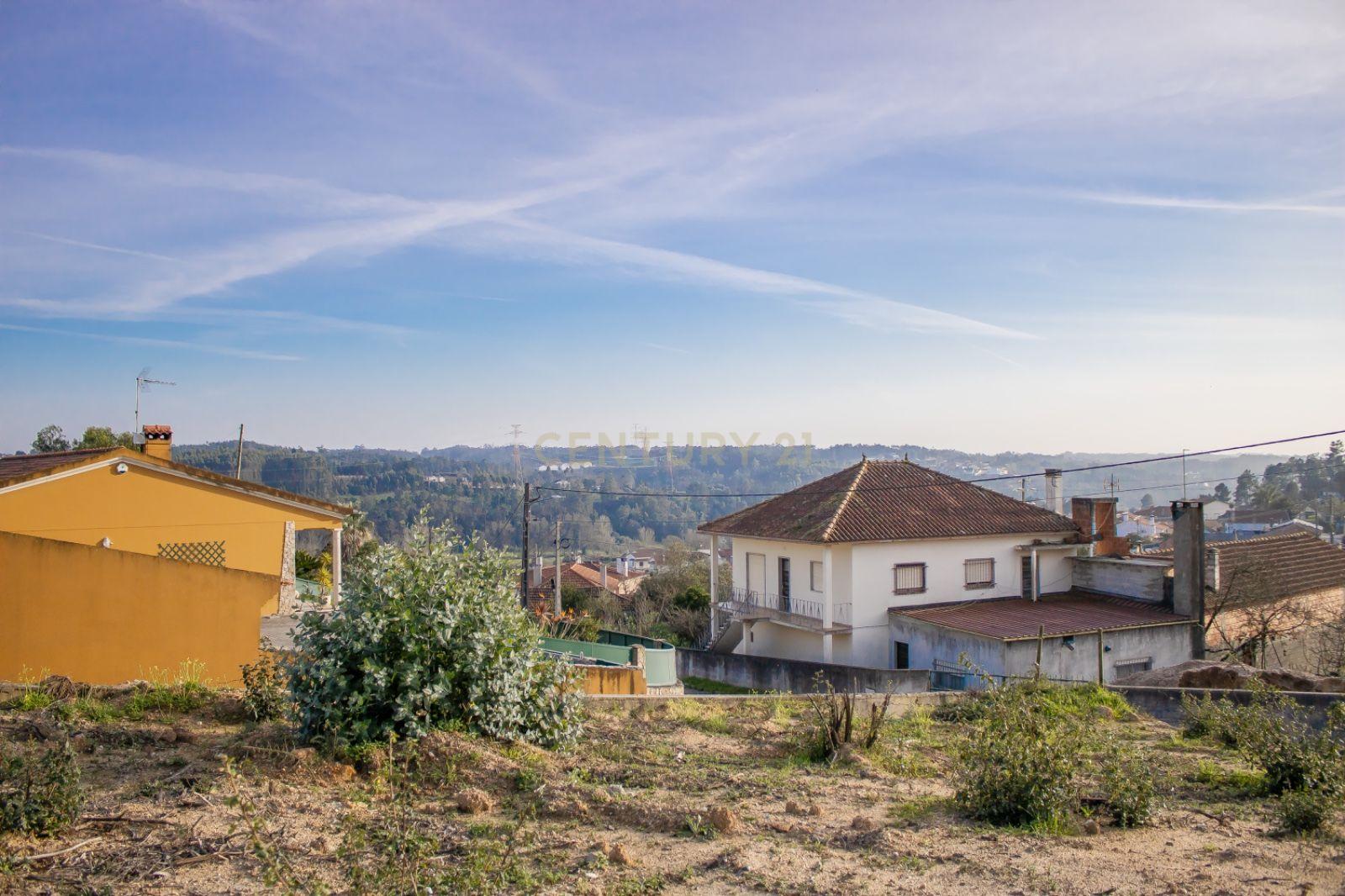 Terreno em Mata dos Milagres || Leiria - Image 6