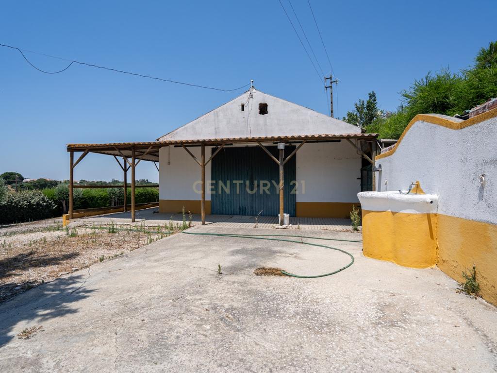 Quinta Equestre a 45 minutos de Lisboa - Image 16