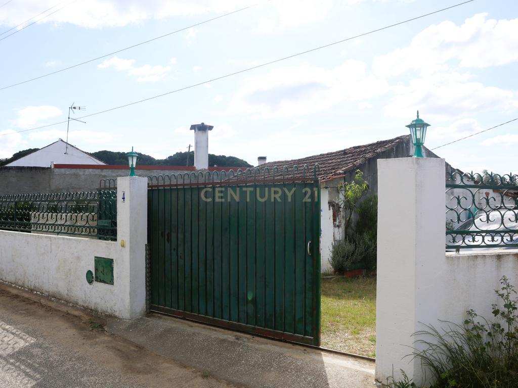 Moradia com Terreno para Venda – Carregueira (Chamusca) , Terreno: 2.120 m² | Moradia com potencial | Árvores de fruto | Água de poço - Image 4