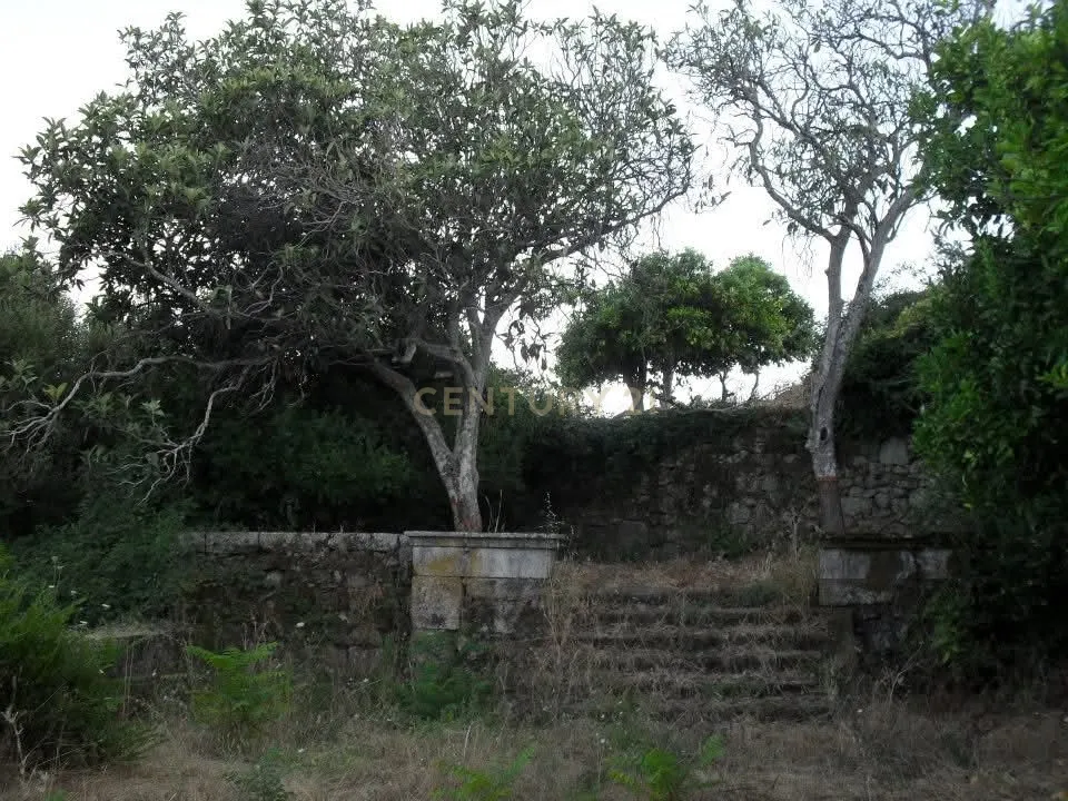 Quinta do Ervedal – 15,7 hectares de História e Beleza Natural em Castelo Novo - Image 49