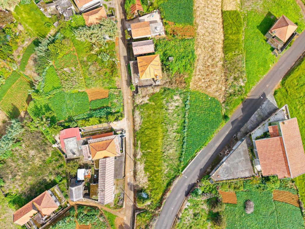 Moradia Tradicional com DOIS PALHEIROS, Terreno e Grande Potencial em Santa, Porto Moniz - Image 7