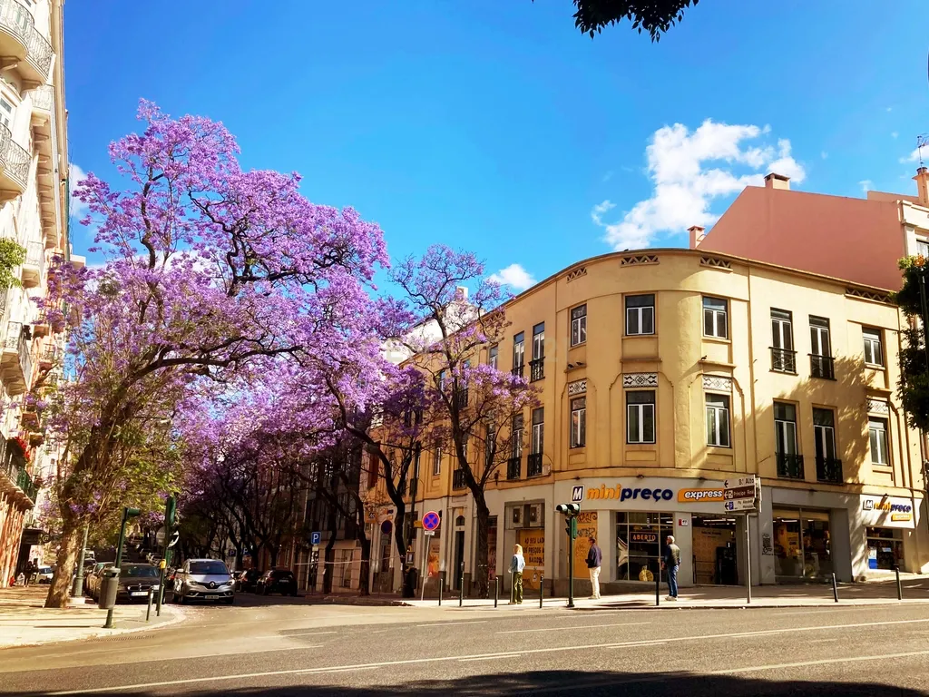 Edifício de charme, uso misto no Rato - Image 1