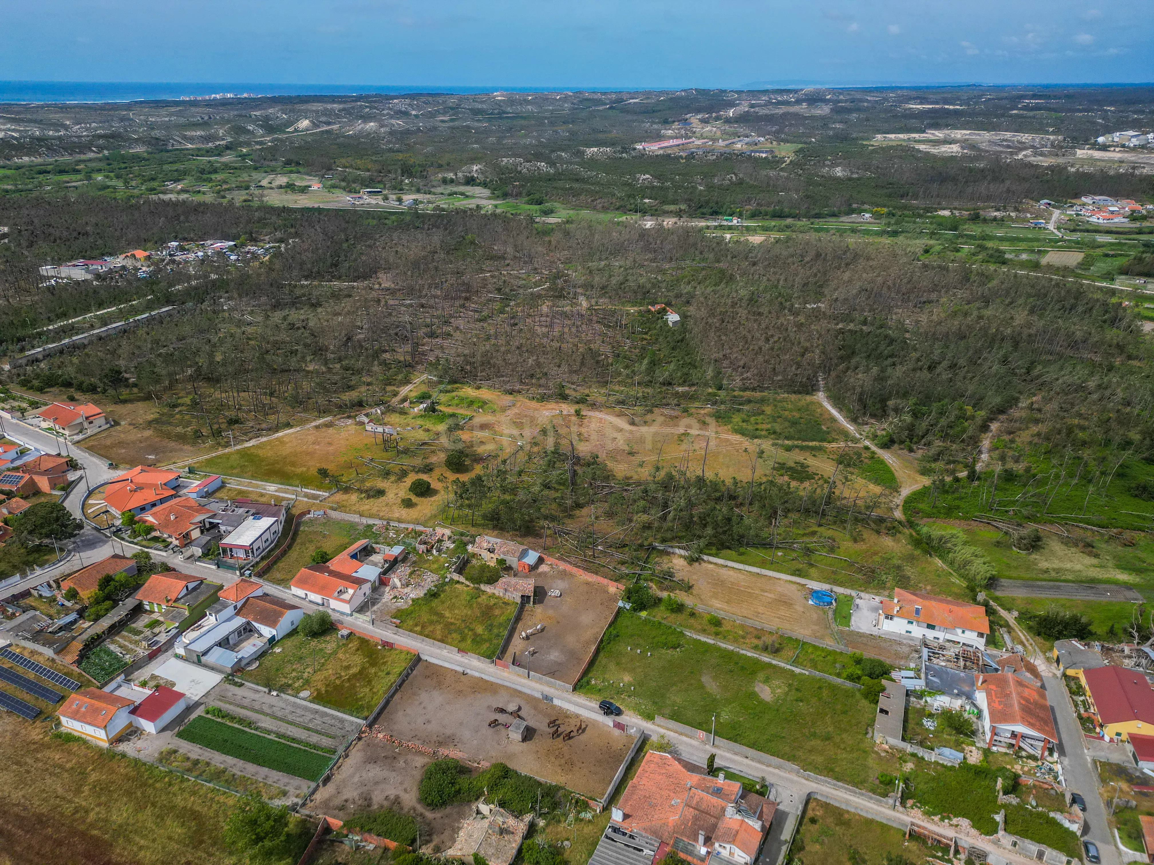 Fotografia 5 de Moradia Rústica para reabilitar em Vieira de Leiria, com terreno, a cerca de 5 minutos da Praia da Vieira