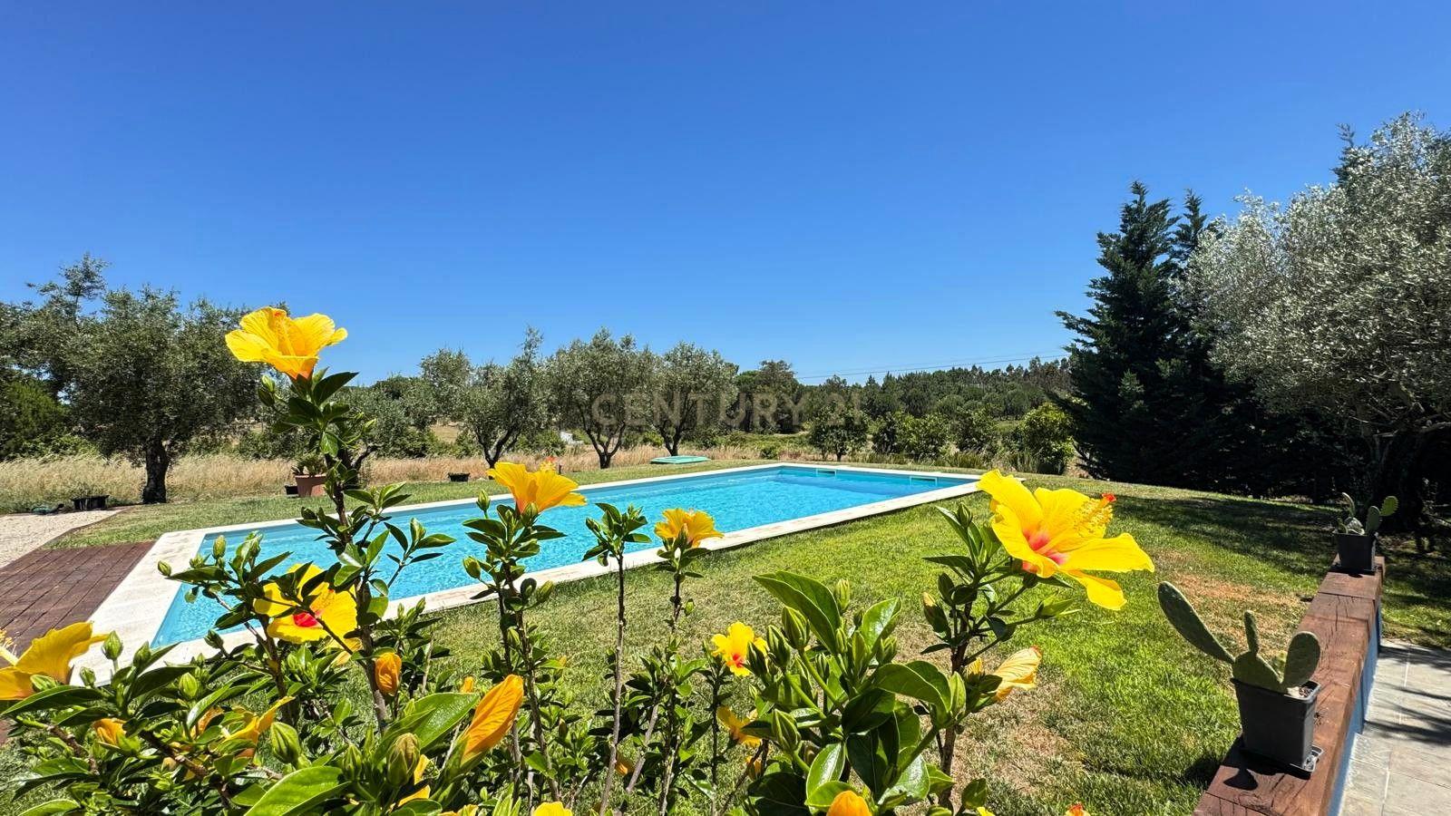 Quinta da Francesa | Quinta com 42.400 m², 2 habitações, piscina, adega e total privacidade em Branca, Coruche