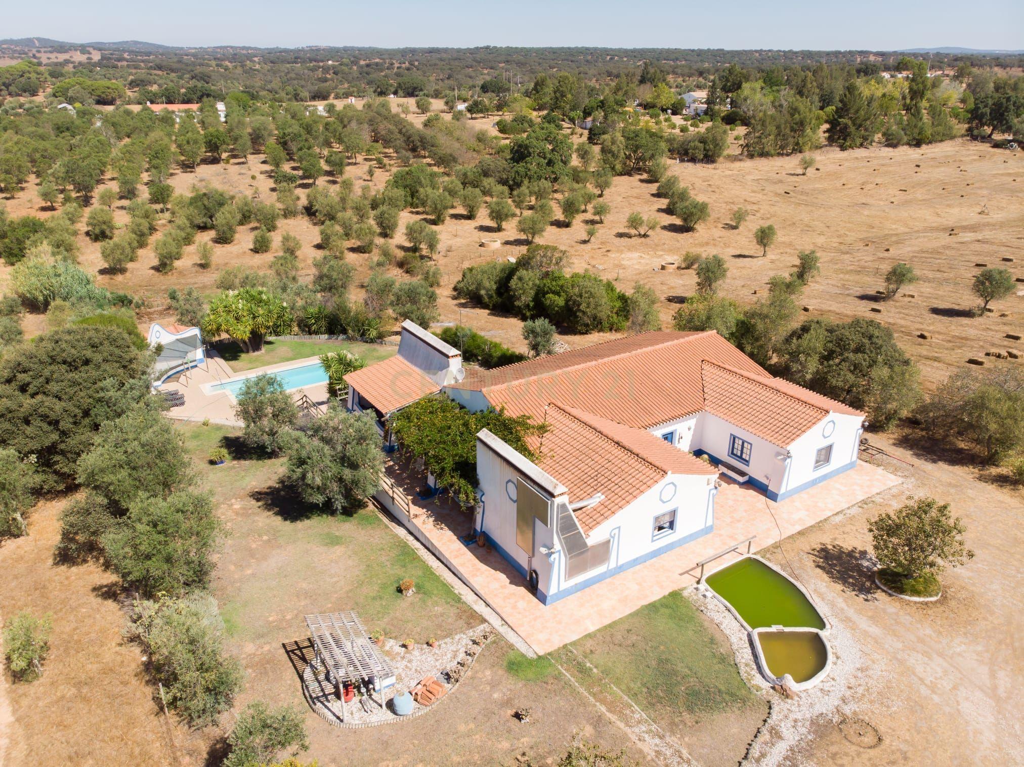 Quinta em São Cristóvão (a 15 min de Alcácer do Sal), com duas moradias inseridas num lote de 8.000 m² - Image 3