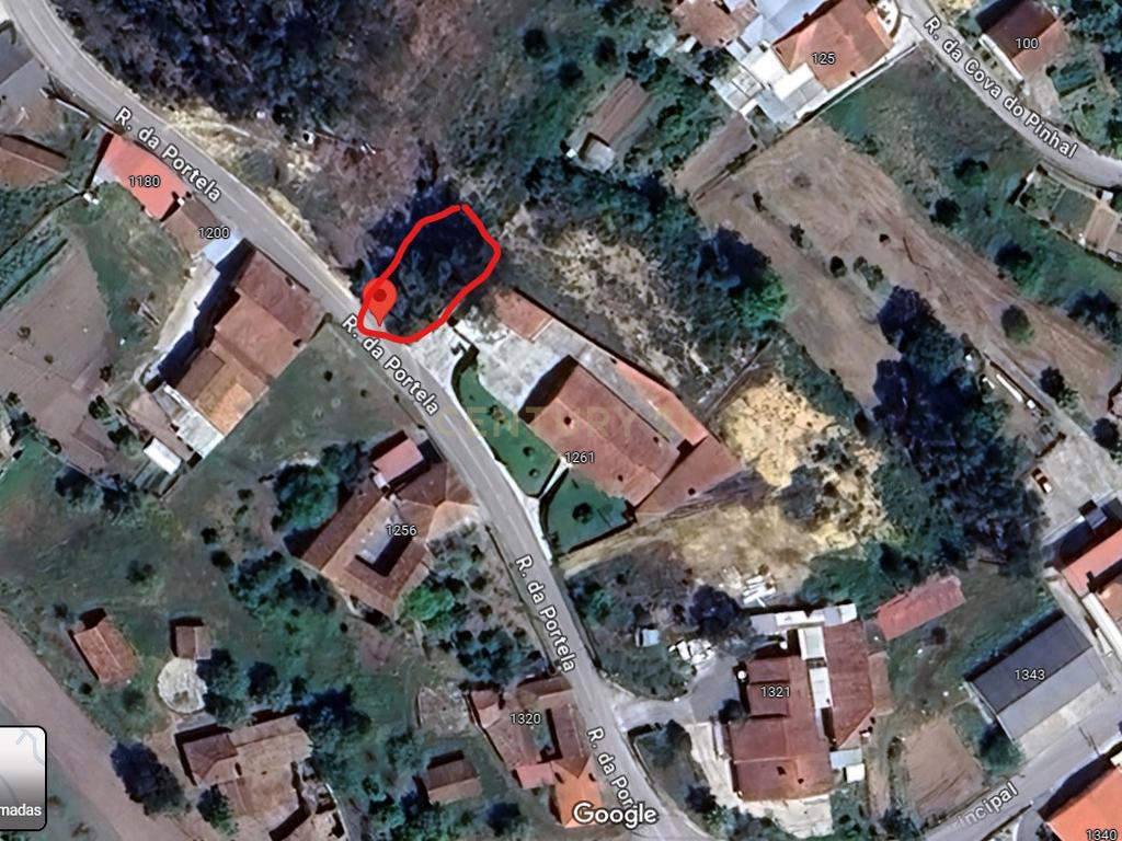 Terreno em Mata dos Milagres || Leiria - Image 3
