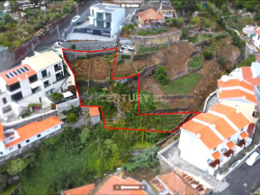 Terreno com Vista sobre o Funchal - Livramento - Monte - Image 7