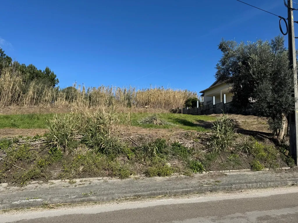 Terreno Panorâmico em Pombal - 1020m² por 34.500€ - Image 12
