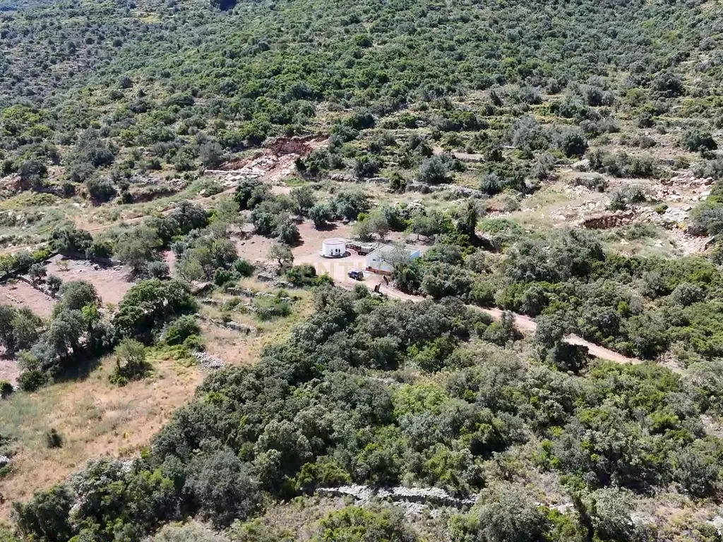 230.000€ Conjunto de 3 terrenos rústicos - Barranco de S. Miguel - Image 8