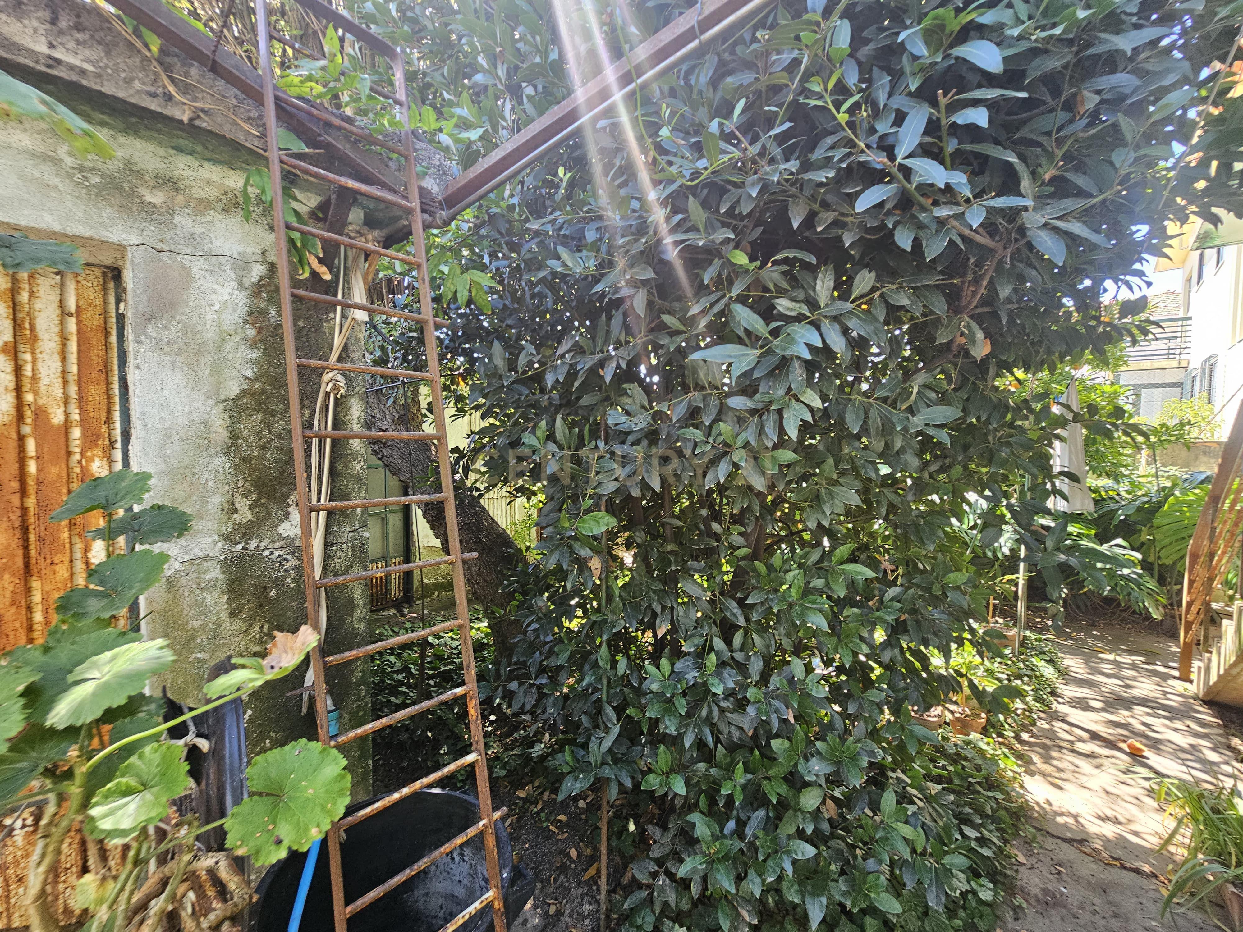 Fotografia 6 de MORADIA T5 GEMINADA PARA REMODELAR TOTAL | Rua Fernão Mendes Pinto, 294, Vila Nova de Gaia