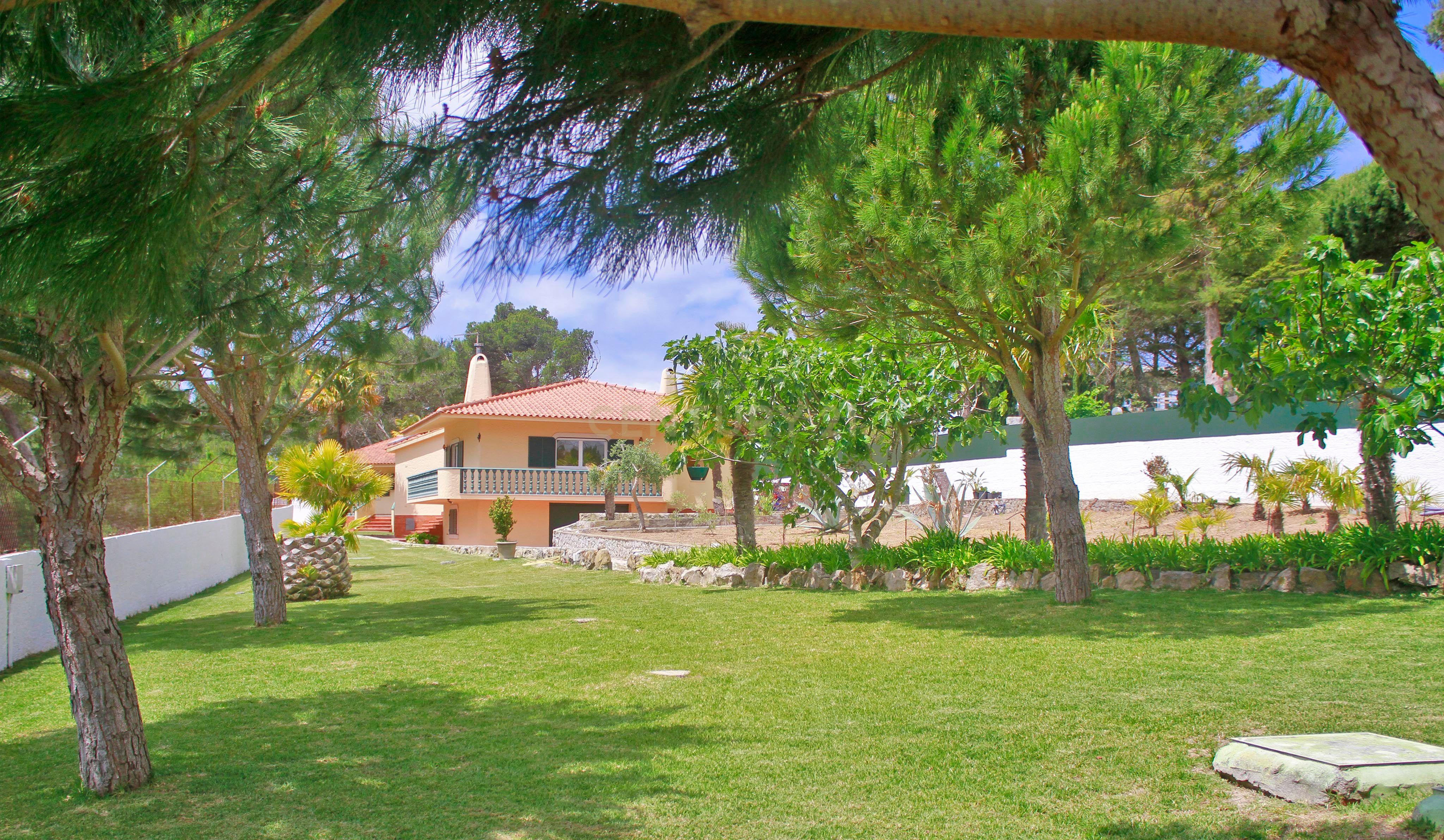 MORADIA TERREA T4+2 | PISCINA | TERRENO 2.000 m2 | CASCAIS | JARDIM | GARAGEM - Image 1