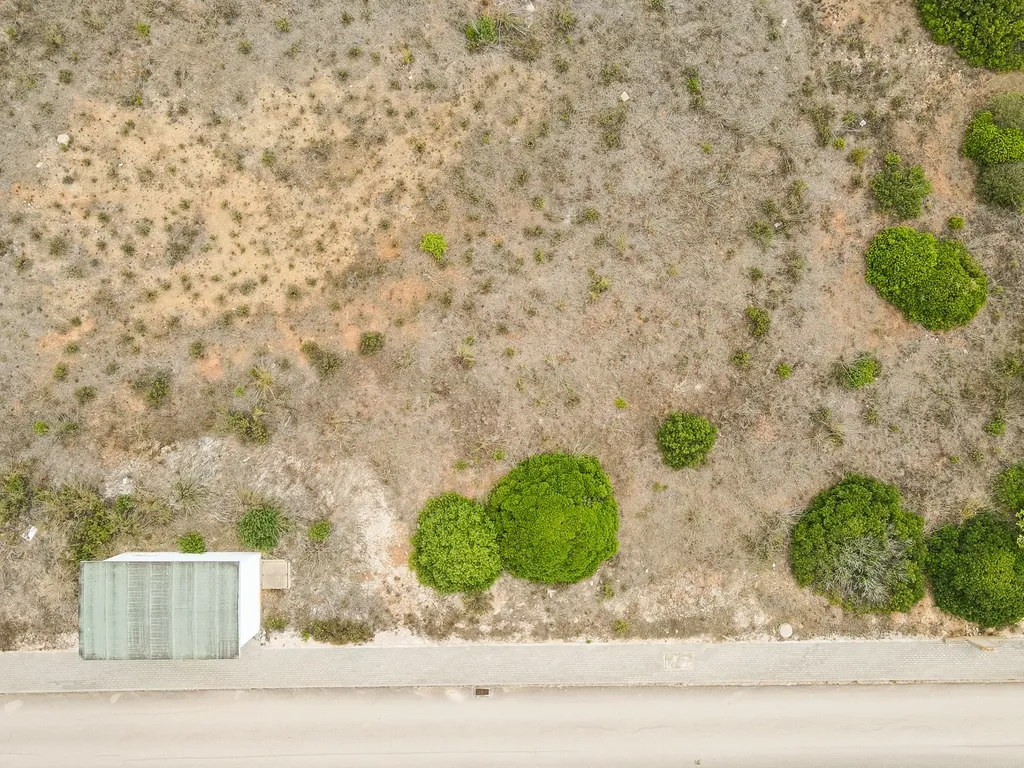 Lote exclusivo para construção de moradia isolada - Image 9