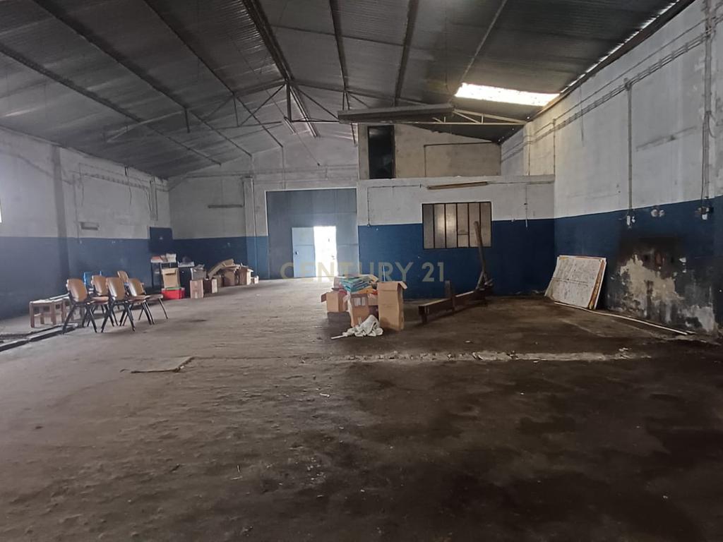 Armazéns na Zona Industrial de Almeirim - Image 12