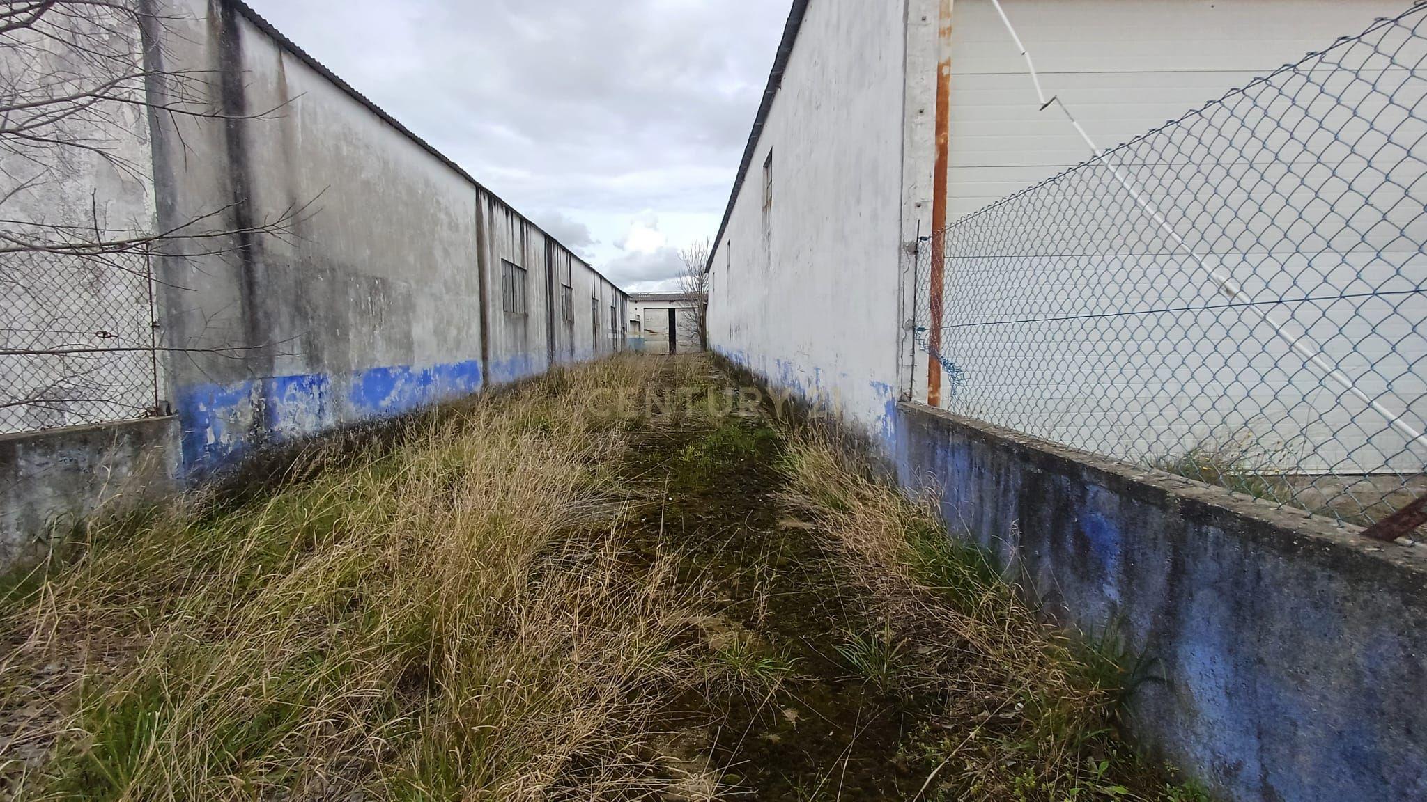 Armazéns na Zona Industrial de Almeirim - Image 5